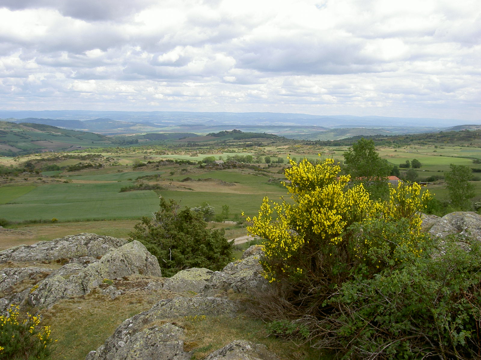 Pays des Couzes - LPO Auvergne: Lallemant JJ